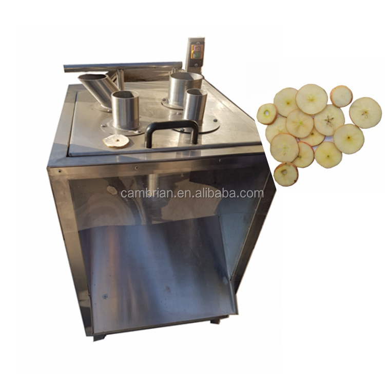 PLC control Large capacity fruit slicing machine electric apple slicer