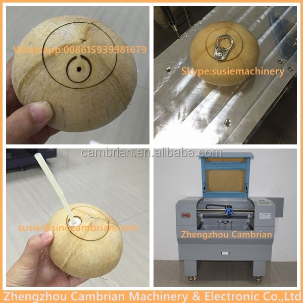 Tender diamond shape coconut logo laser engraving machine with new design