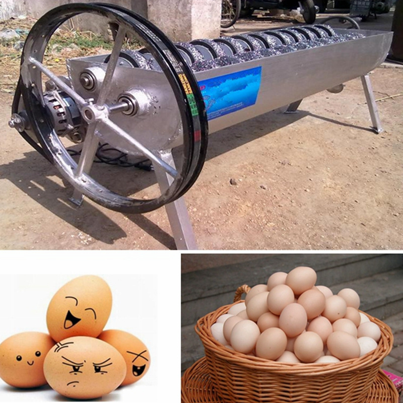 Commercial duck egg washer and cleaner Automatic chicken egg washing machine