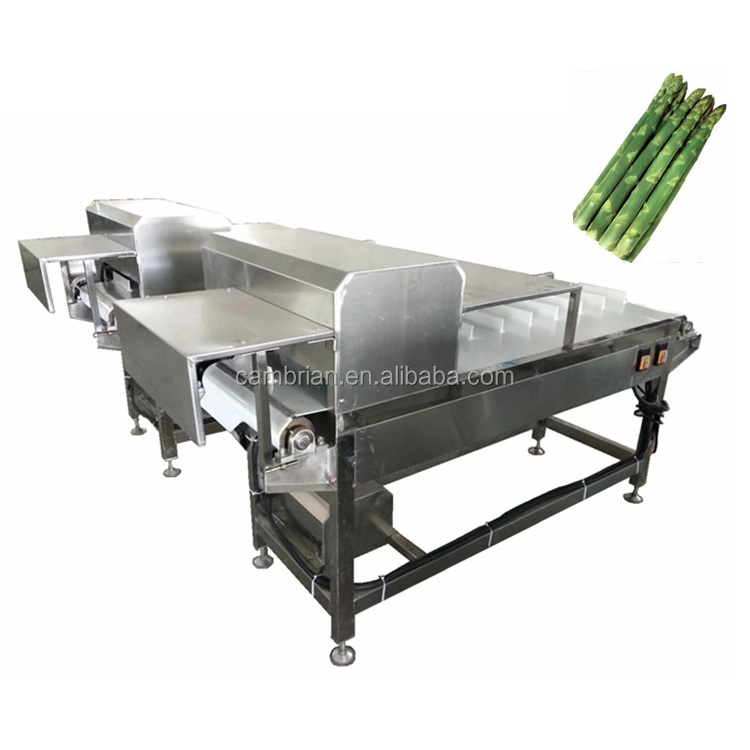 Easy operation asparagus root cutter machine vegetable root cutting machine celery lettuce spinach root cutter