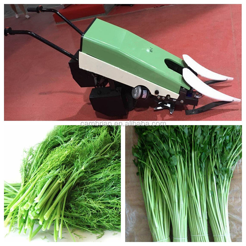 Long endurance Chinese chives harvesting machine vegetable harvest chives reaping machine