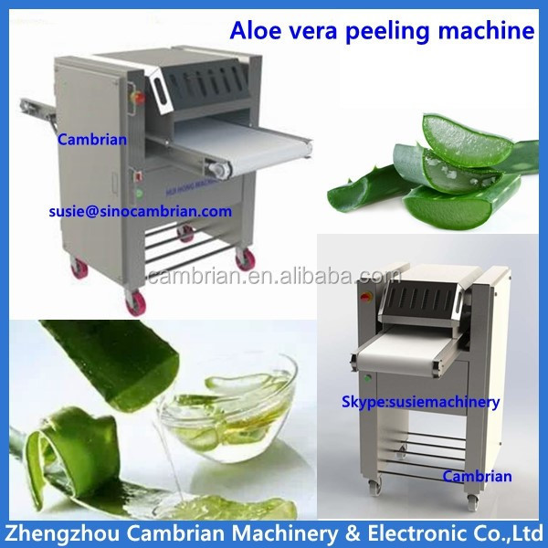 Easy operation aloe vera washing peeling machine cactus skin removing machine