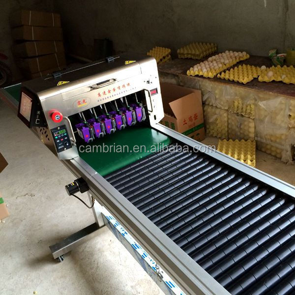 Best quality high dpi inkjet egg printer print 6 lines eggs direct jet printer