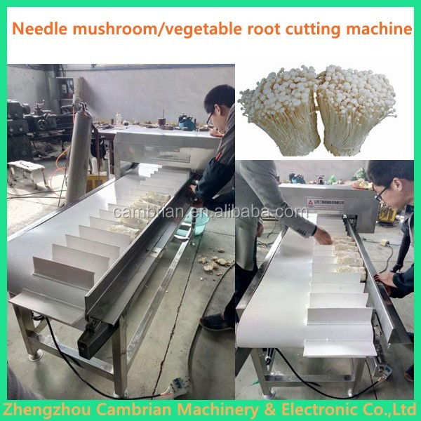 Easy operation asparagus root cutter machine vegetable root cutting machine celery lettuce spinach root cutter