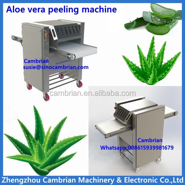 Aloe vera gel making aloe vera peeling machine cutting machine for drink