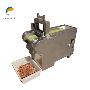 Dry Fruit Coconut Palm Dates Mango Atchar Cutting Cutter Machine