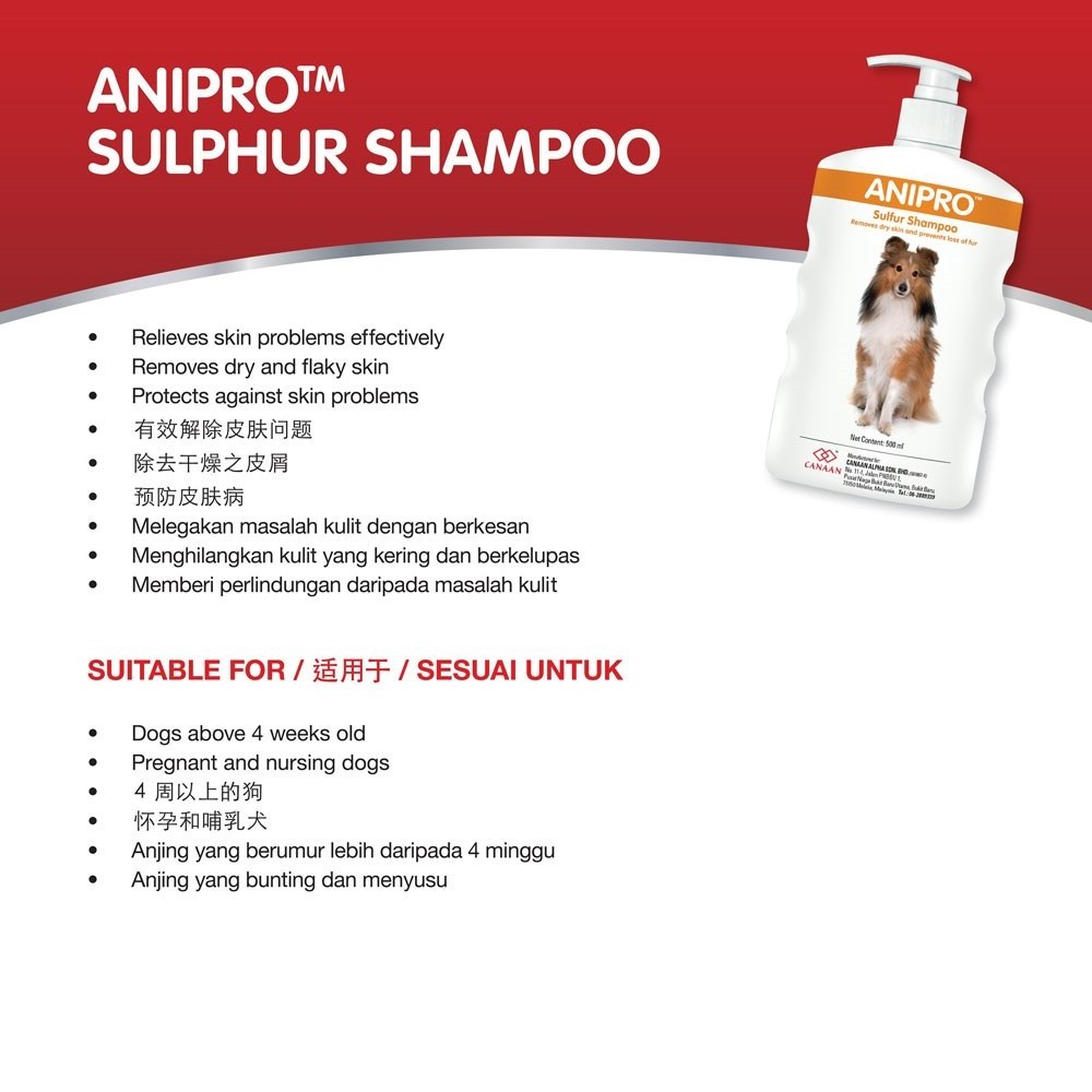 Good quality Eco-friendly Natural Anipro Sulphur Shampoo for healthy fur and best treatment to your pet