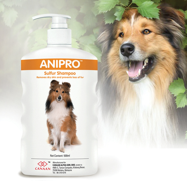 Good quality Eco-friendly Natural Anipro Sulphur Shampoo for healthy fur and best treatment to your pet