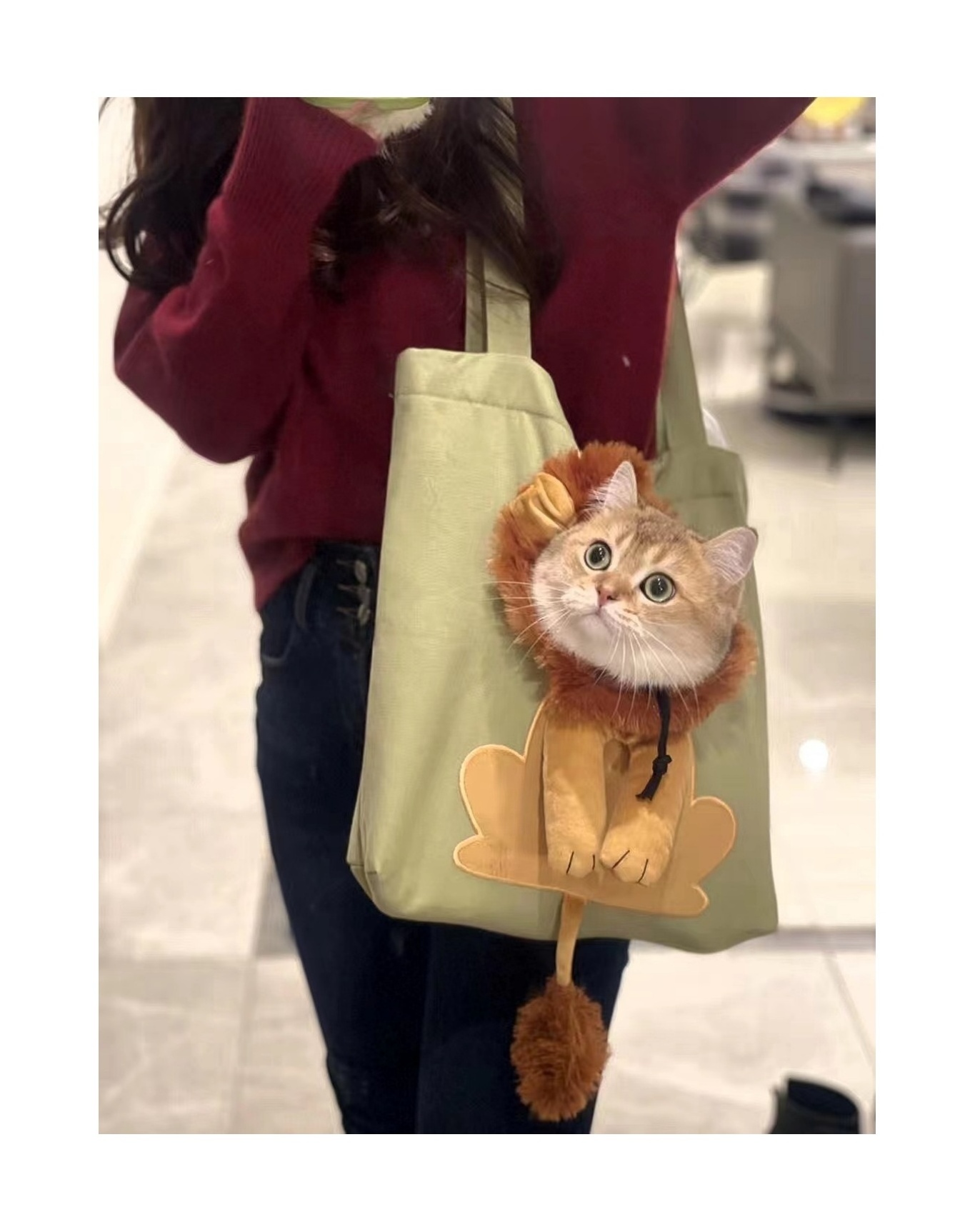 Little Lion Cat Bag Cartoon Exposed Cotton Canvas Shoulder Bags for Dogs, Small Pets Outgoing Handbags Pet Backpack Carry Bags