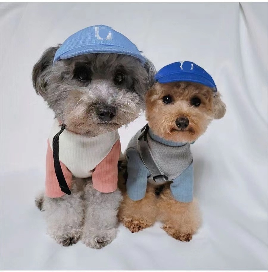 Fashion Luxury Designer Dog Pet Baseball Hat Branded Dog HatsTeddy Schnauzer cat hat for Small and Large Dogs