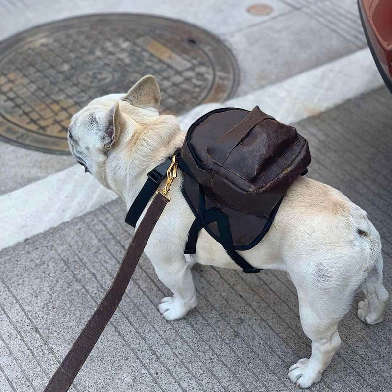 Fashion brand designer pet backpack adjustable fashion dog's own backpack dog snacks bags dog purse