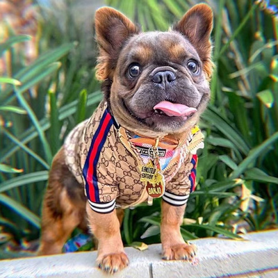 Classics fashion brand luxury Printed French Bulldog clothes spring and autumn small dog pet clothes