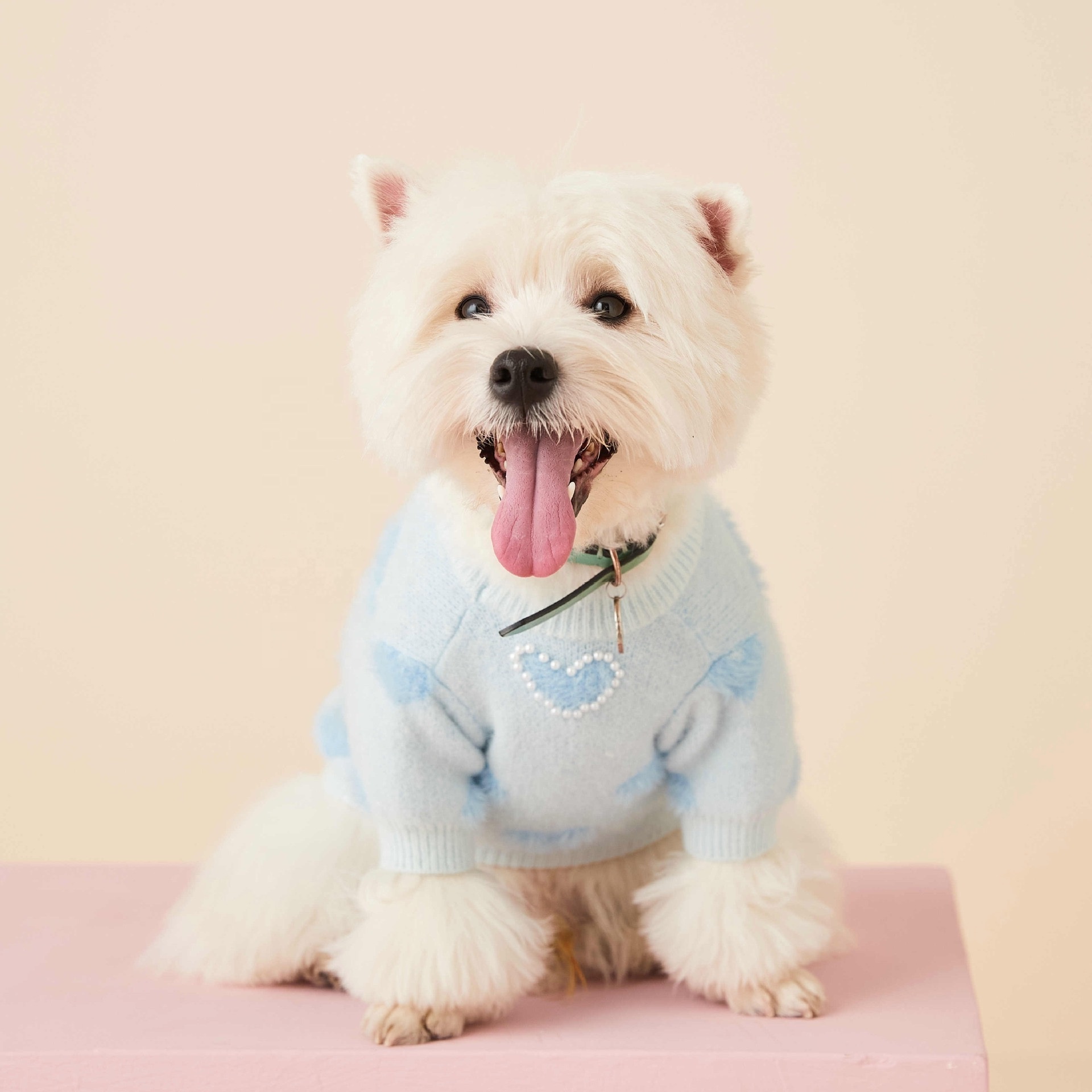 2024 custom blue cute pet sweaters love heart pattern pet knit jumper dog cat pullover sweater