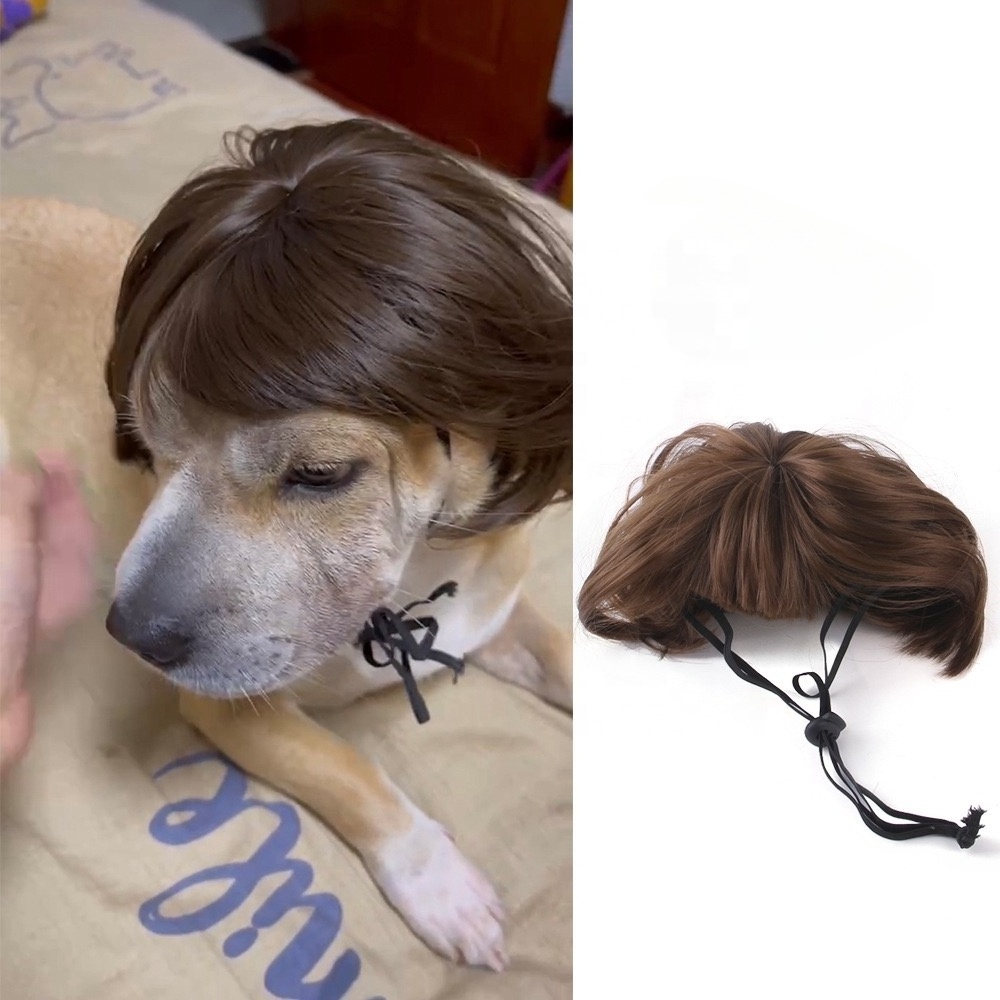 Funny Creative wig Cute Pet Costume Wig Hat For Cat Dog Halloween Christmas Clothes Fancy Dress With Pet Clothes