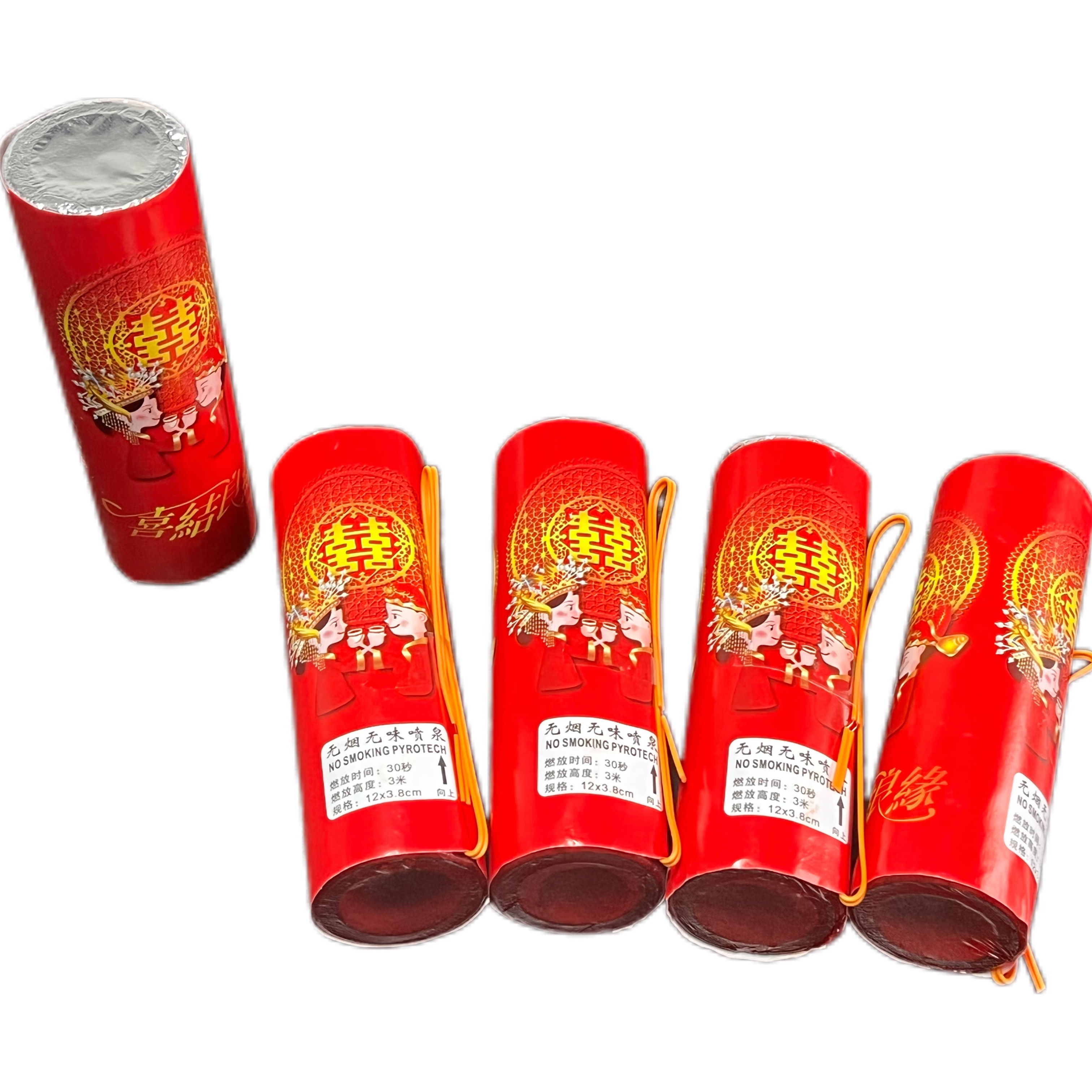 From china hand held shooter firework canister fireworks shells for sale