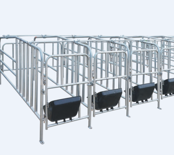 Wholesale Hot Galvanized Sow Stall Pig Gestation Crates for sale