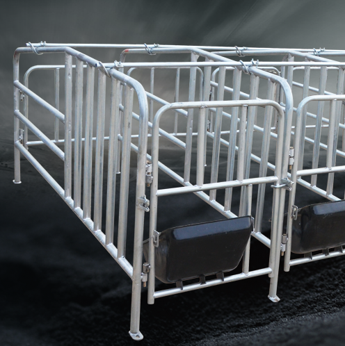 Wholesale Hot Galvanized Sow Stall Pig Gestation Crates for sale