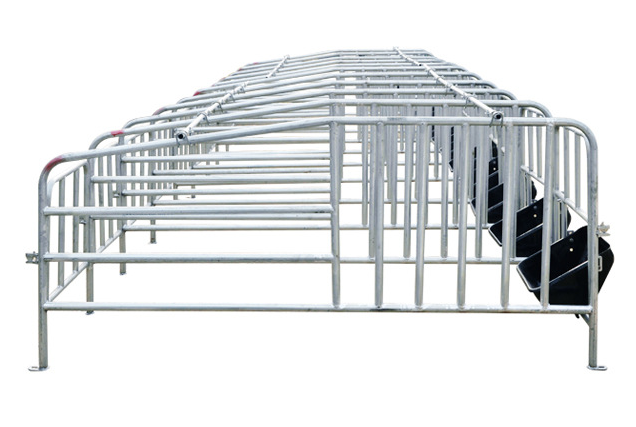 Wholesale Hot Galvanized Sow Stall Pig Gestation Crates for sale