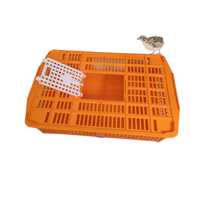 Pigeon Bird Transportation Cage for Quail Pigeon Coop Chicken Duck Bird Pheasant Partridge Parrots Rabbits Small Birds