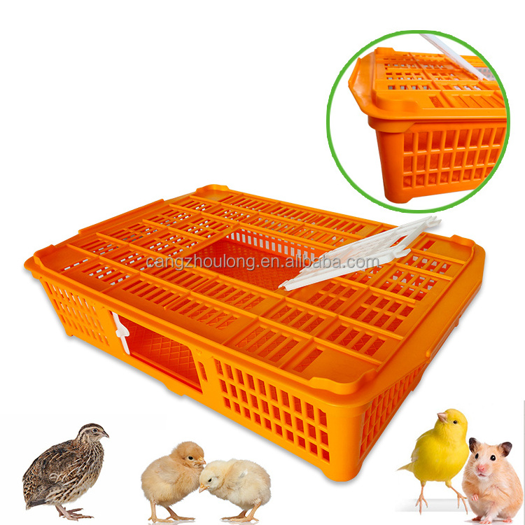 ZB LMC 03 small poultry pigeon quail live wholesale transport boxes plastic chicken crate