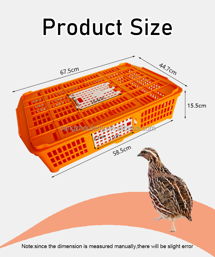 ZB LMC 03 small poultry pigeon quail live wholesale transport boxes plastic chicken crate