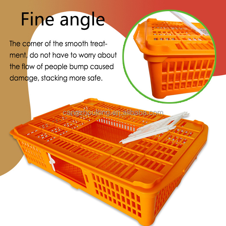 ZB LMC 03 small poultry pigeon quail live wholesale transport boxes plastic chicken crate