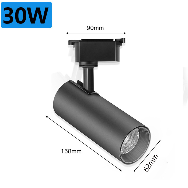 30W High Quality Decorative Waterproof Led Spotlights Ceiling Cob Outdoor Mini Led Spot Light Prices Spot Led,Spot Lights