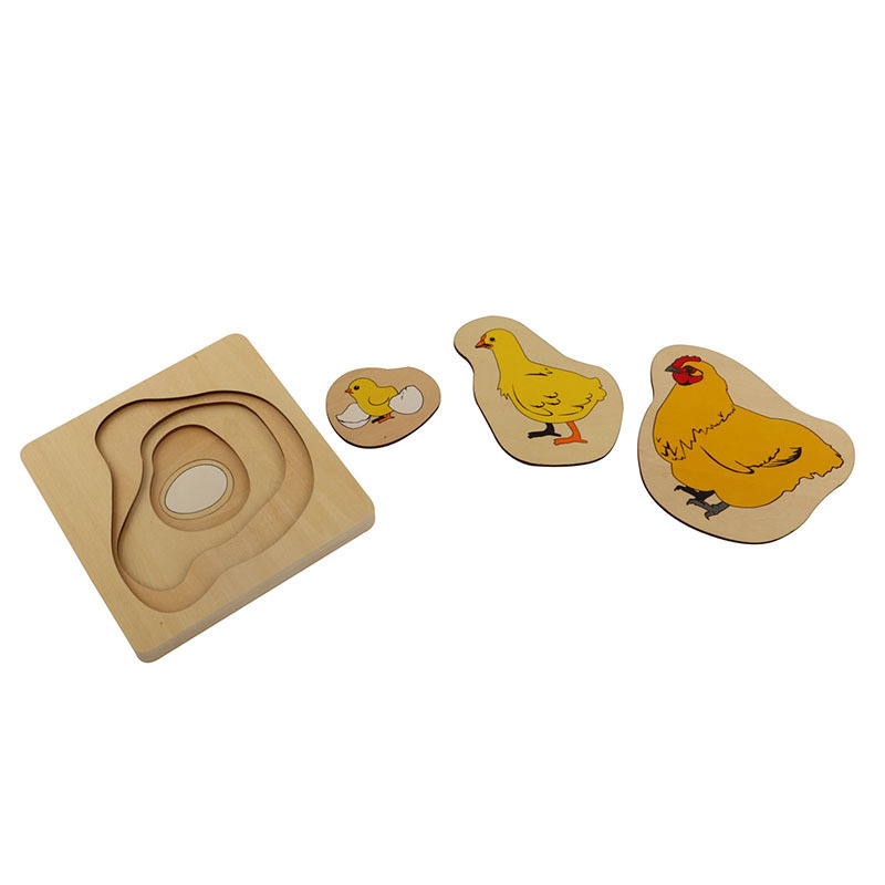 BO060 Wooden educational montessori material   toys of  Development of Chicken Montessori Puzzle