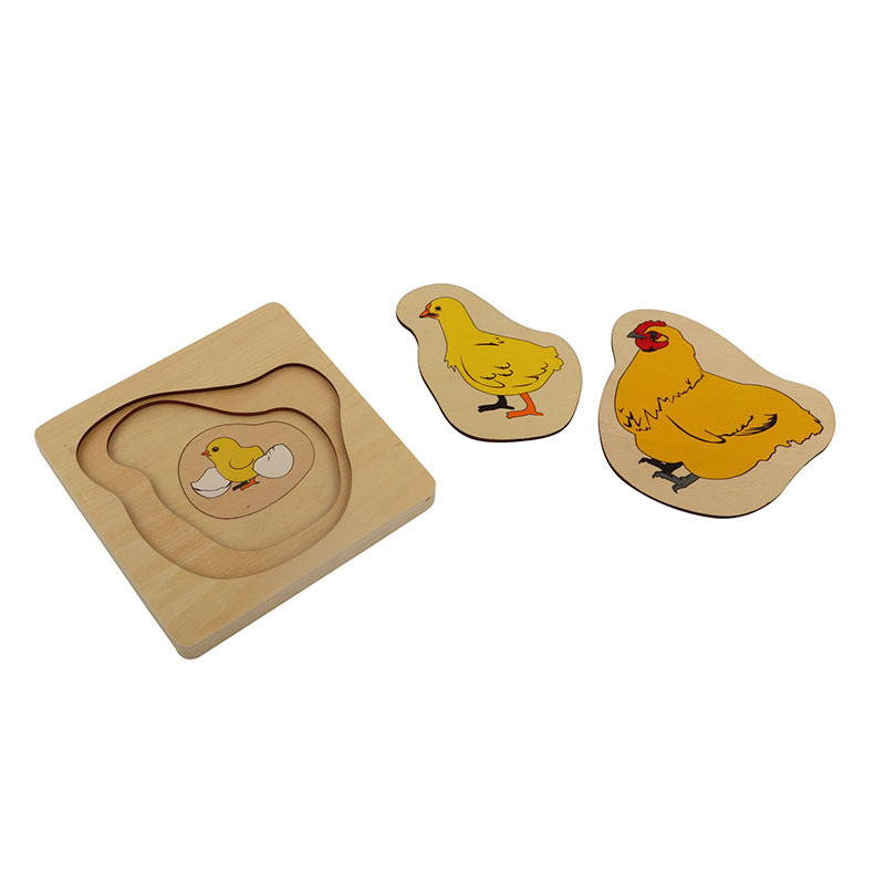 BO060 Wooden educational montessori material   toys of  Development of Chicken Montessori Puzzle