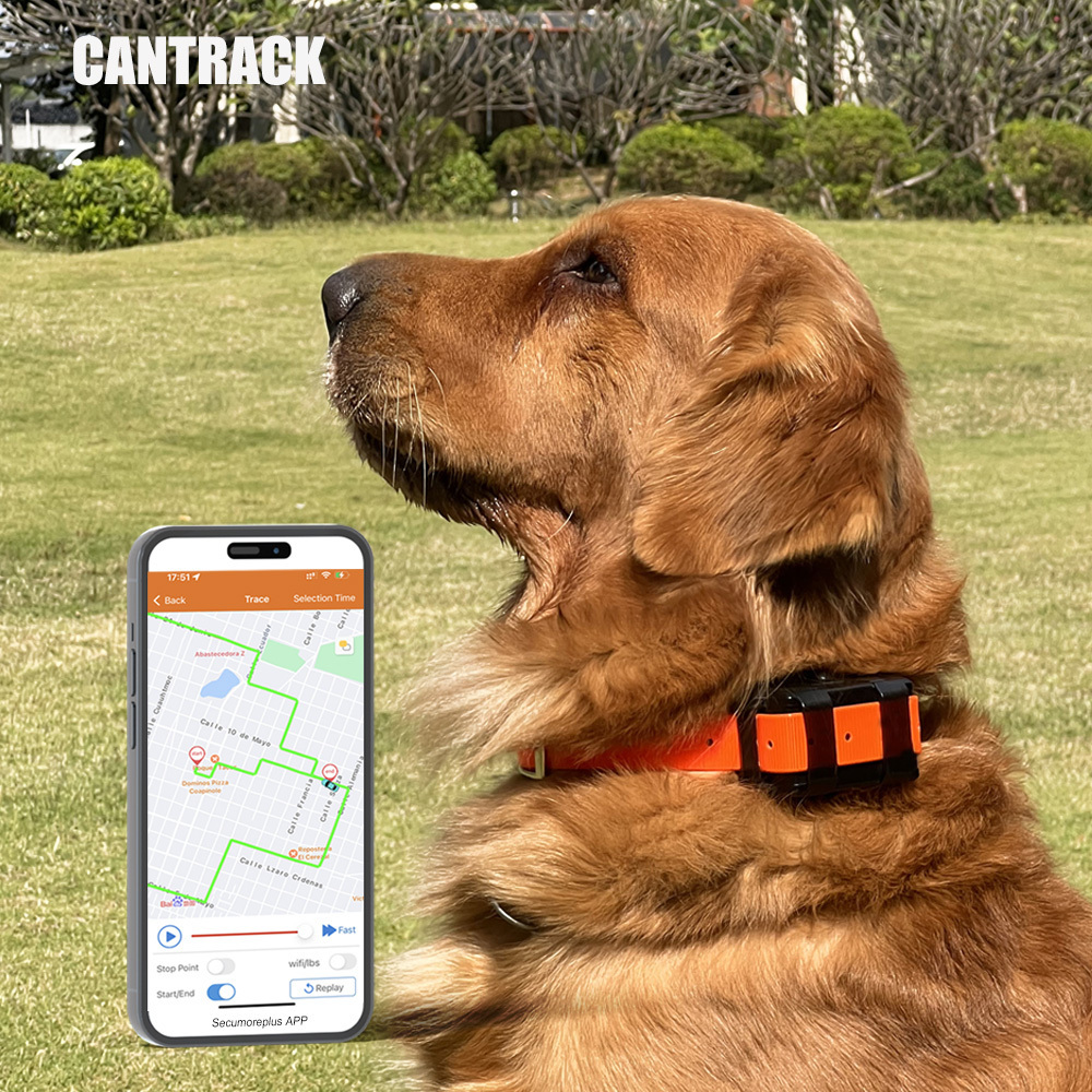 4g hunting gear locator of dog pet collar gps collar