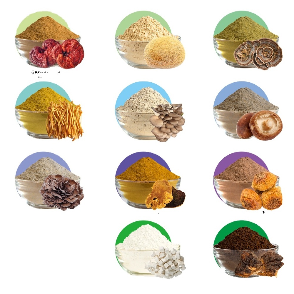 Private Label Top Quality Herbal Mushroom Extract Powder - USDA Organic - Lions Mane, Reishi, Cordyceps, Chaga, Turkey Tail