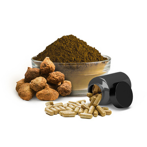 OEM Capsules Black Maca Root Extract Powder Vegan for Man and Women in Bulk  High quality Healthcare Supplement