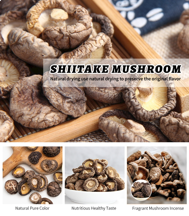 High Quality 100% Natural Dry  Mushrooms Dried Shiitake Mushroom