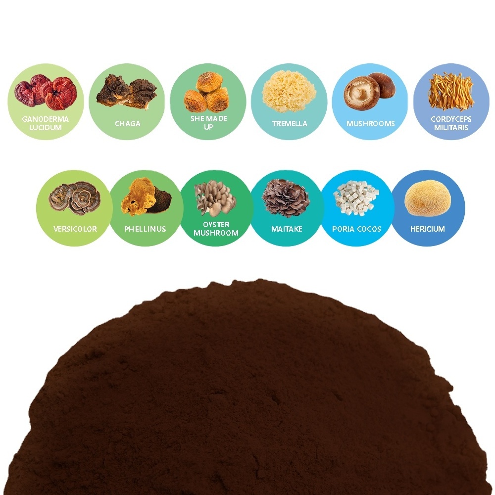 Private Label Top Quality Herbal Mushroom Extract Powder - USDA Organic - Lions Mane, Reishi, Cordyceps, Chaga, Turkey Tail