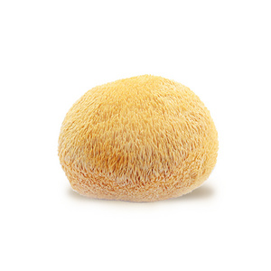 Organic Dried Lions Mane Hericium erinaceus Mushrooms whole Dried Lions Mane Sliced Bulk manufacture price