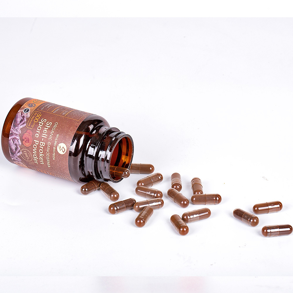 Herbal extracts Organic Shell-broken Spore fresh Reishi Mushroom extract powder capsules