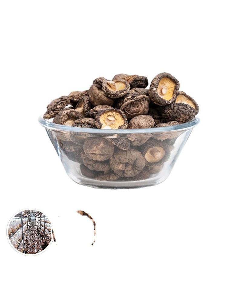 High Quality 100% Natural Dry  Mushrooms Dried Shiitake Mushroom