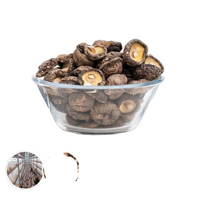 High Quality 100% Natural Dry  Mushrooms Dried Shiitake Mushroom