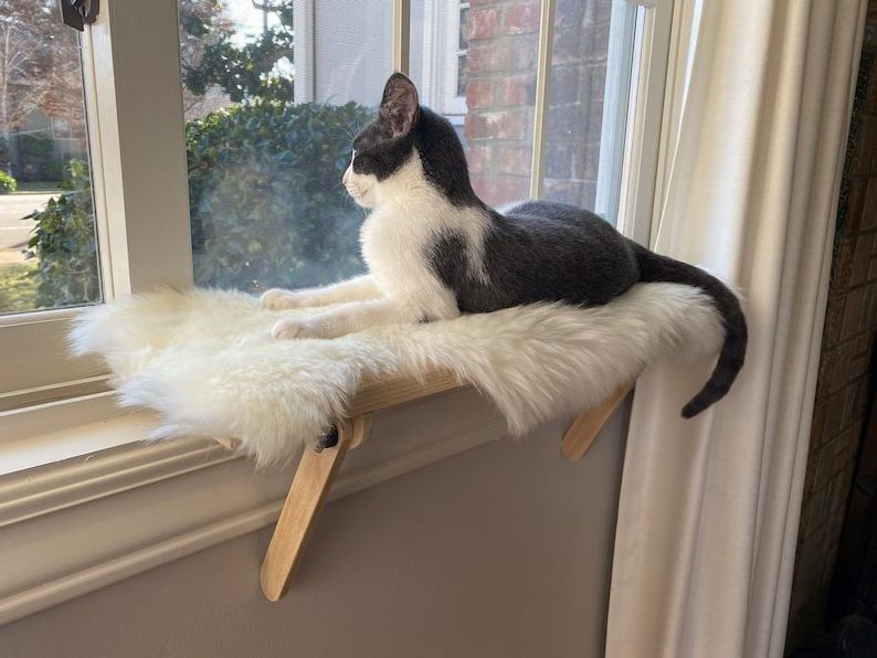 Single-storey Comfortable Window Wooden Cat Hammock Wood  Wall Mounted Suction Cup cat Perch Pet Furniture