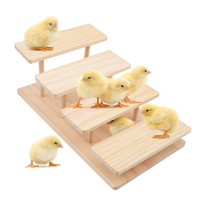 Solid Wood 4 Tier Hen Roost Toys Swings Brackets Chicken Roosts And Perches