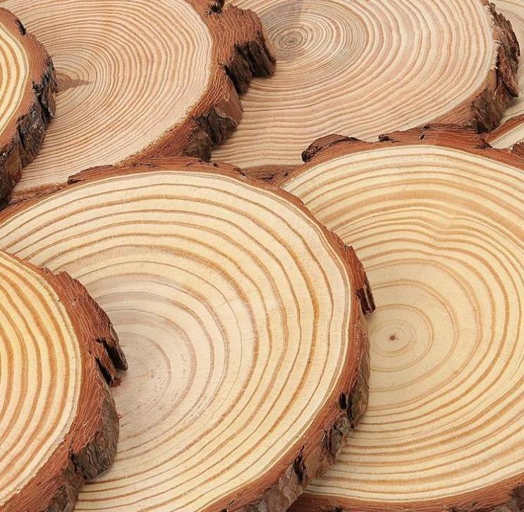 10pcs Unfinished Natural Wood Slices Wood Ornaments for Crafts Christmas Ornaments Wedding Decor Wooden Slices