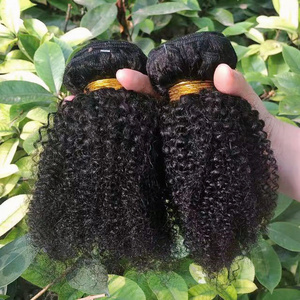 Afro Kinky Human Hair Kinky Curly Hair Hair Paypal Fedex with Closure , Unprocessed Raw Virgin Mongolian Malaysian 3 Bundles