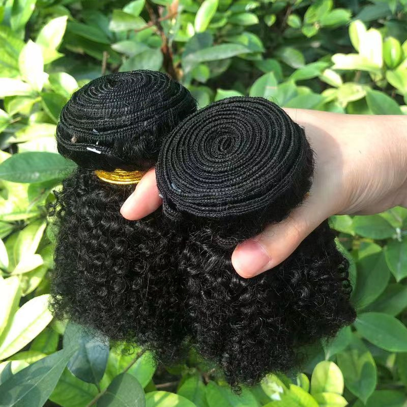 Afro Kinky Human Hair Kinky Curly Hair Hair Paypal Fedex with Closure , Unprocessed Raw Virgin Mongolian Malaysian 3 Bundles