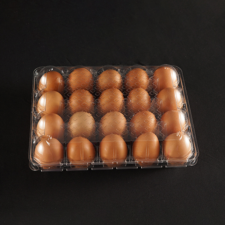 High Quality 20 Cells Plastic PET Egg Tray Wholesale Disposable Transparent Egg Case Packaging with Lid