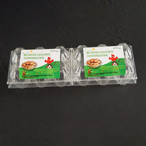 Wholesale Transparent Egg Holder 12 Holes Clamshell Egg Box PET Disposable Plastic Clear Egg Tray