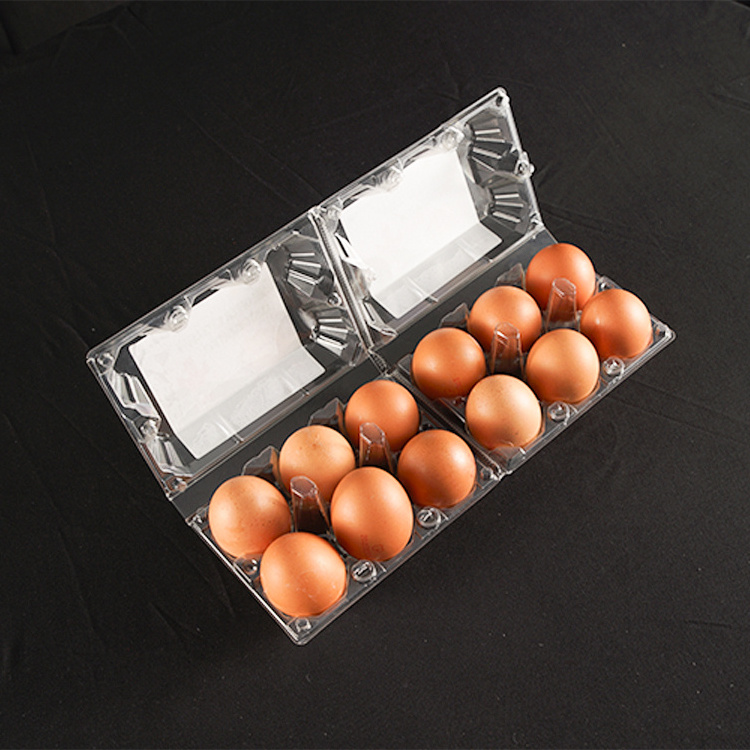 Wholesale Transparent Egg Holder 12 Holes Clamshell Egg Box PET Disposable Plastic Clear Egg Tray