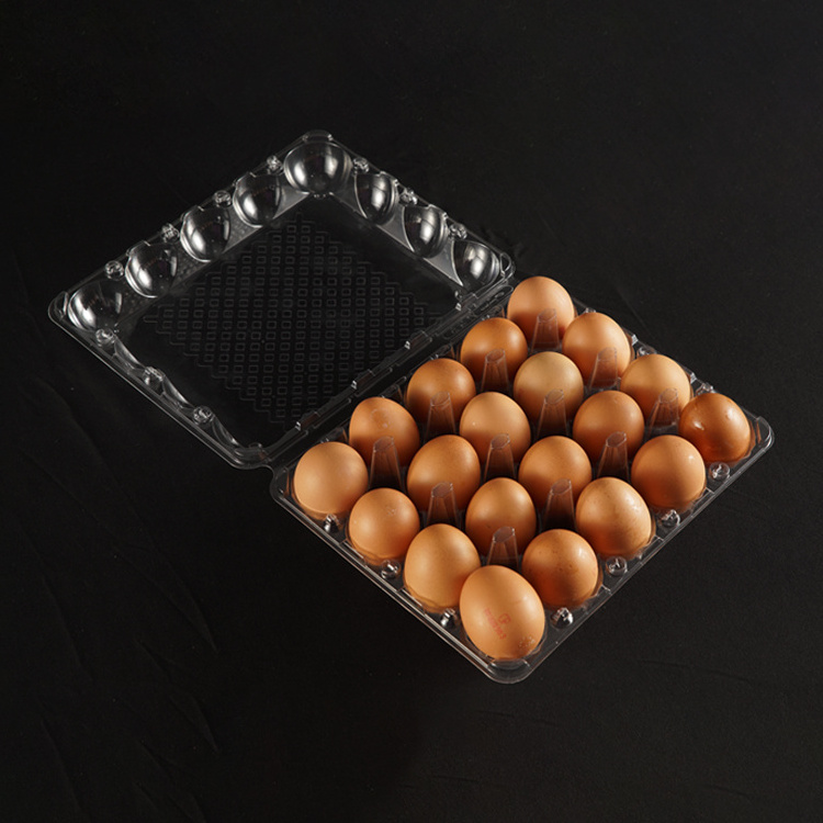 High Quality 20 Cells Plastic PET Egg Tray Wholesale Disposable Transparent Egg Case Packaging with Lid