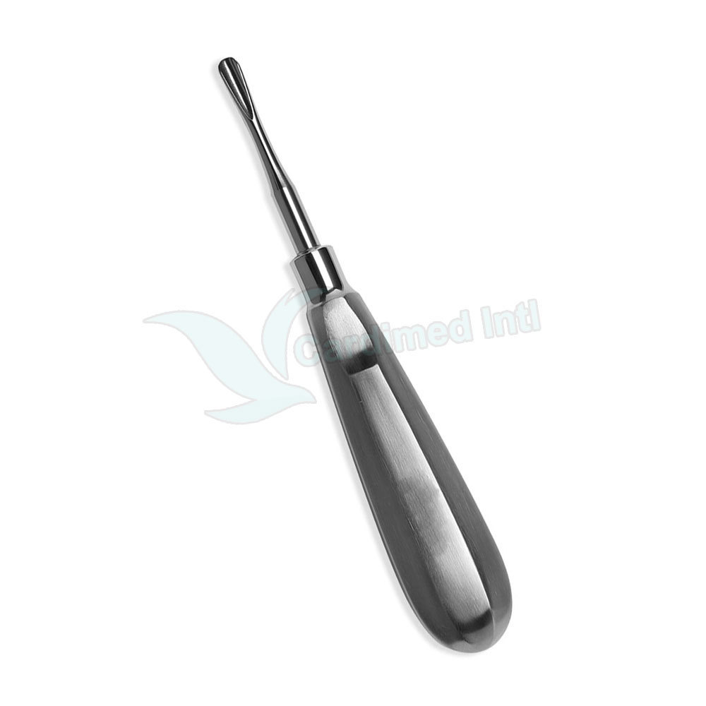 Best Sale Root Elevators High Quality Dental Root Elevators Custom Logo Dental Surgical Instruments