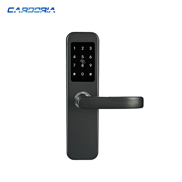 Security Anti Theft Home Electronics Smart Digital Smart Password Card Gate Door Lock For Wood Door