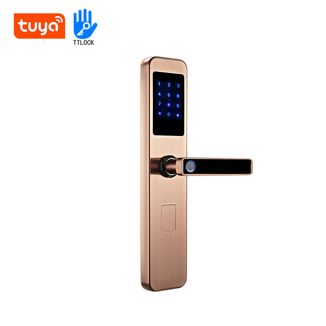 High Security Ttlock App New Design Safety Stainlesssteel Biometric Fingerprint Door Handle Keyless Smart Lock